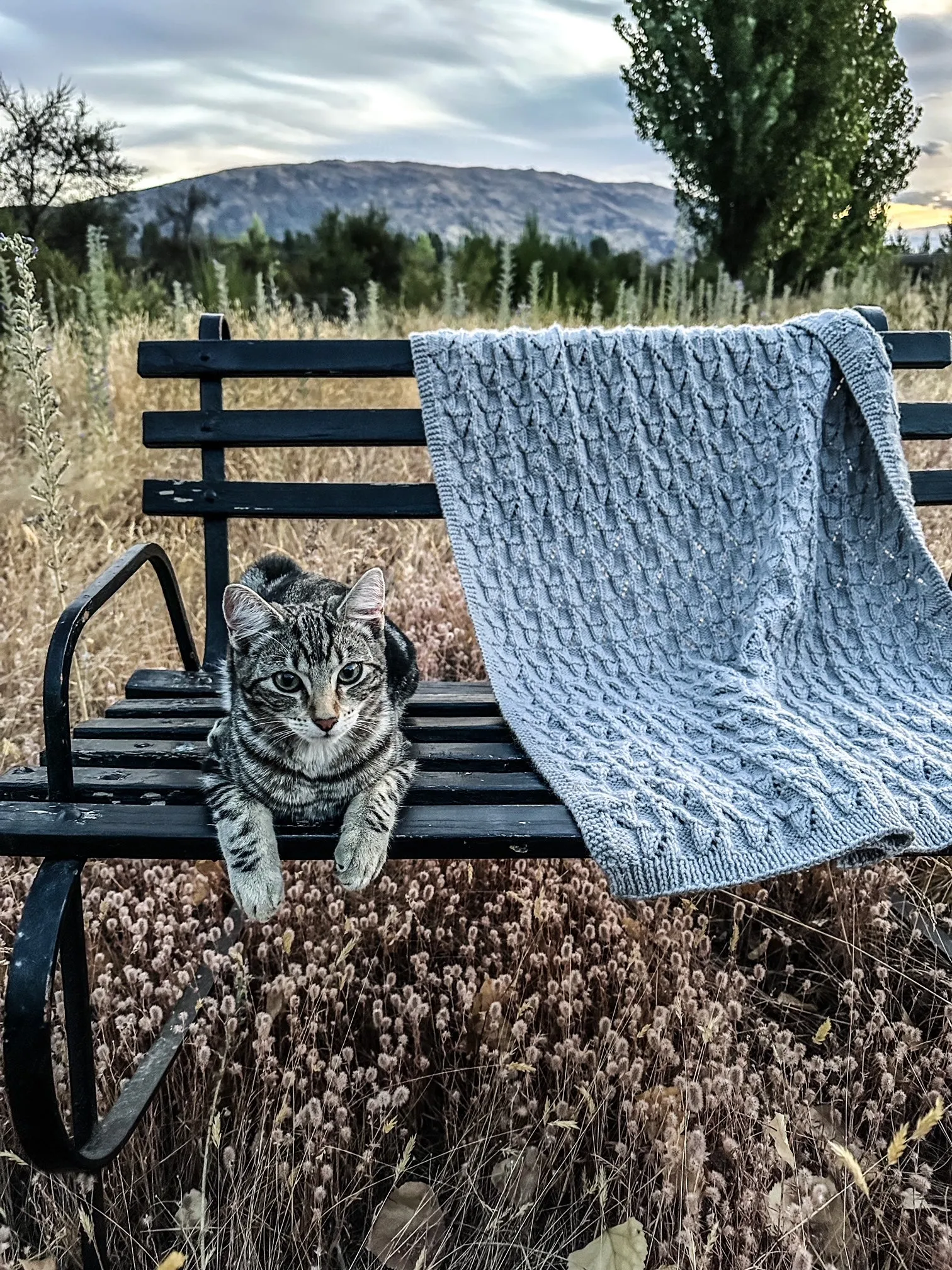 Cinda Blocks Blanket