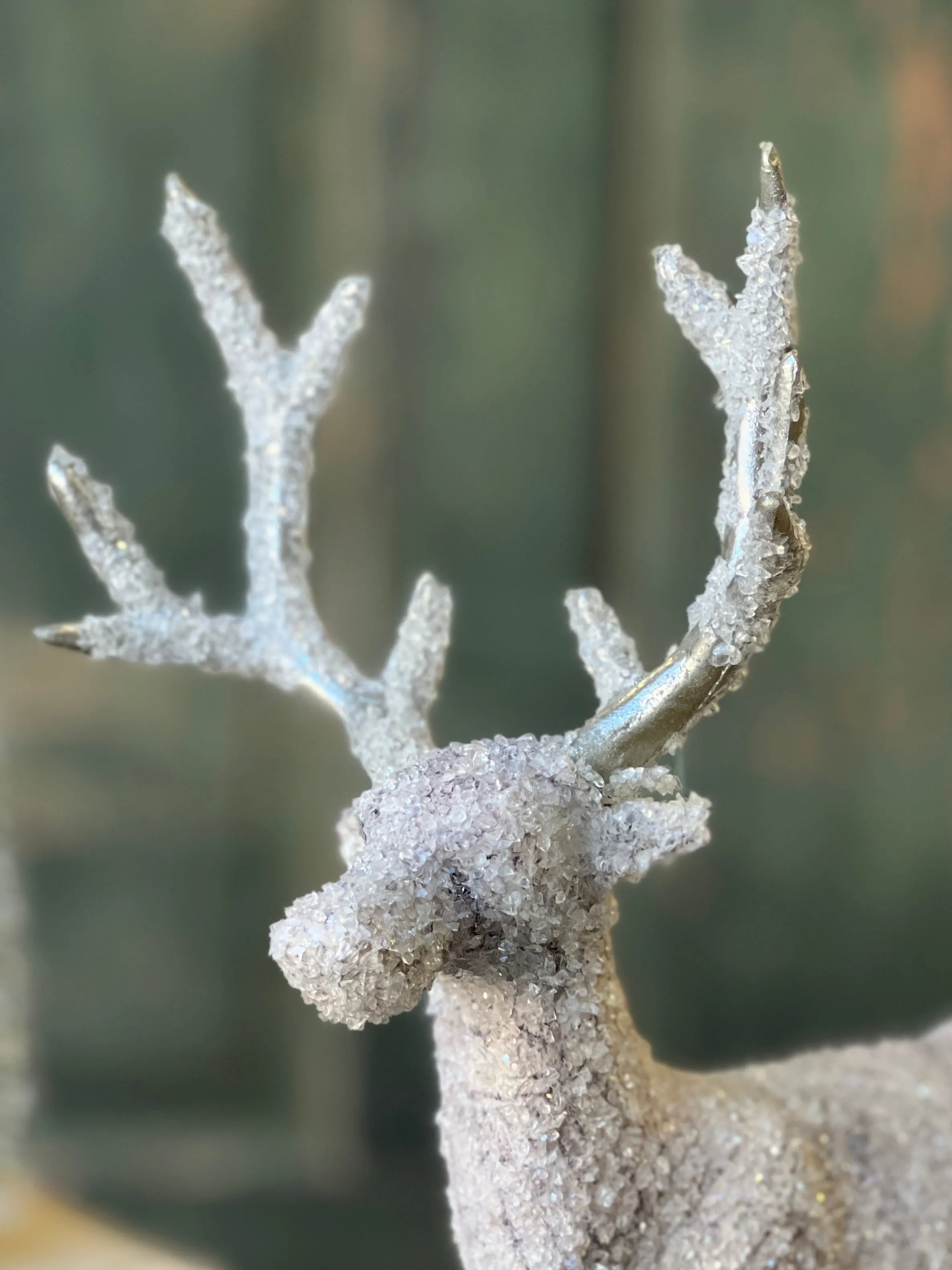 Dasher Deer | 14"
