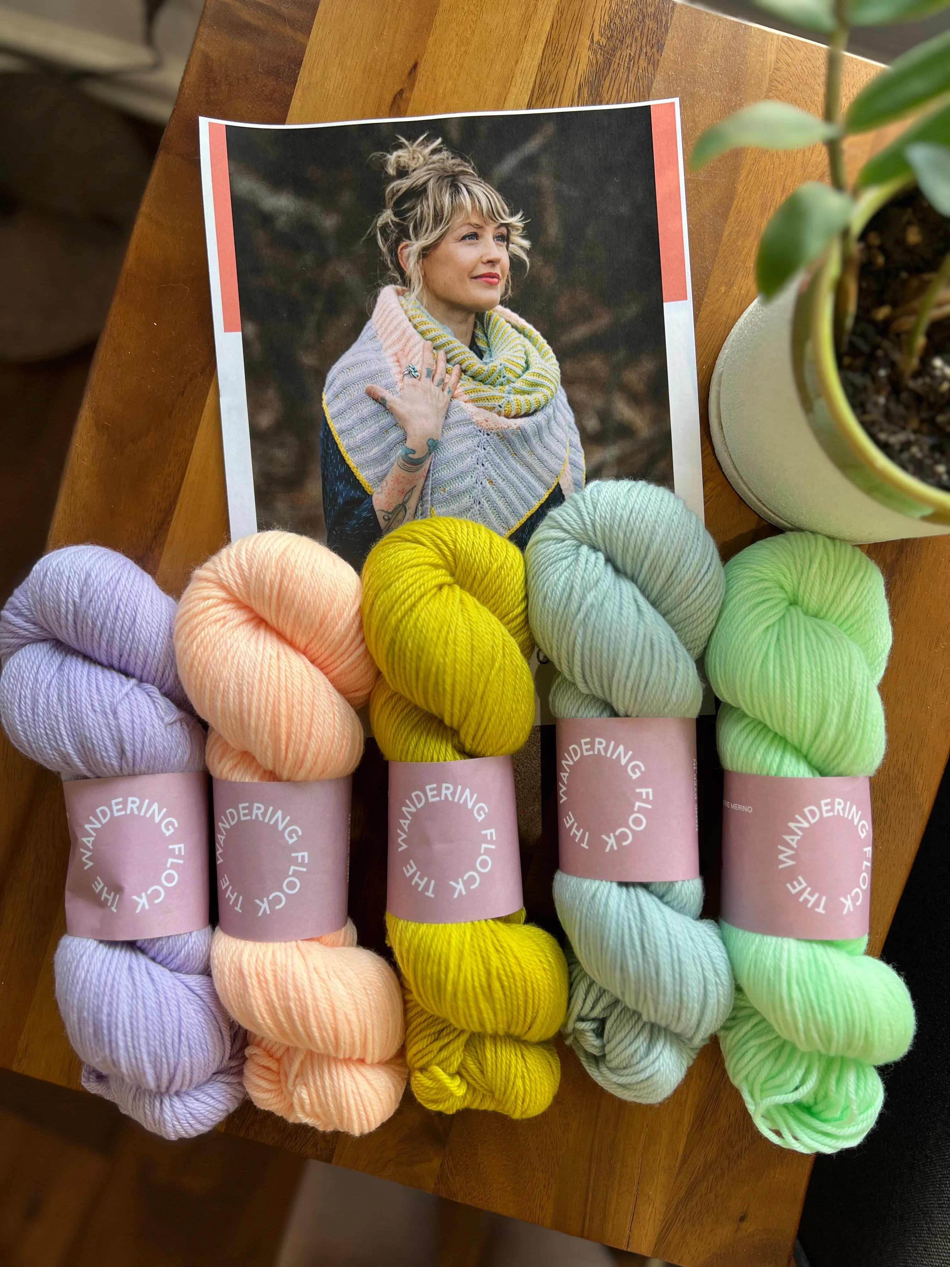 The Feel Good Shawl Kit 1 The Wandering Flock DK Icy Lavender/Peach Pop/Citrine/Dusty Blue/Neon Kelly
